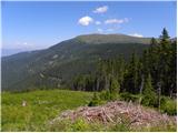 Koglereck - Großer Speikkogel (Golica / Koralpe)